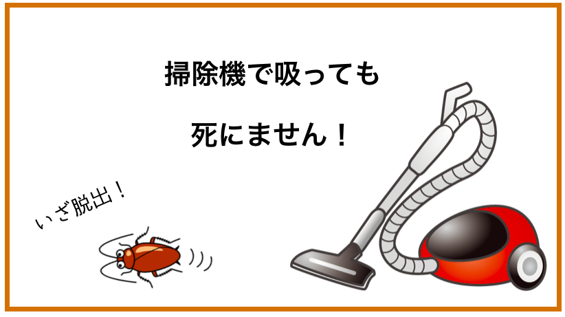 ゴキブリに電気つけて寝るは効果無し！掃除機で吸っても死にません